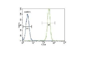 SD2 Antibody (ABIN391545 and ABIN2841494) flow cytometric analysis of Hela cells (right histogram) compared to a negative control cell (left histogram). (SMAD2 Antikörper  (AA 97-125))