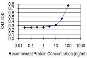 Detection limit for recombinant GST tagged EPHA1 is 1 ng/ml as a capture antibody. (EPHA1 Antikörper  (AA 394-500))