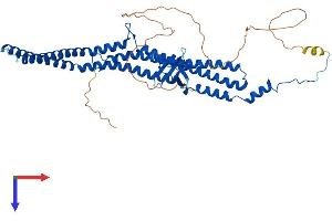 PACSIN2 Protein (AA 1-486) (His tag)