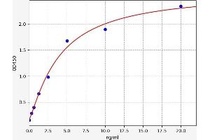 MAT1A ELISA Kit