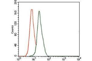 Flow cytometric analysis of HeLa cells using DLL4 mouse mAb (green) and negative control (red). (DLL4 Antikörper)