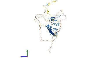 Protein Structure (PS) image for E2F Transcription Factor 2 (E2F2) (AA 1-437) protein (His tag) (ABIN7547184)