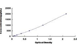 Typical standard curve (Amphiregulin ELISA Kit)