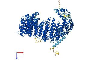 XPO1 Protein (AA 1-1071) (His tag)