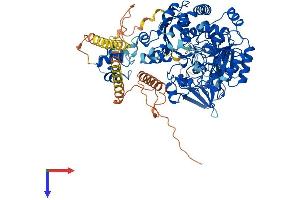 MGAT5B Protein (AA 1-792) (His tag)