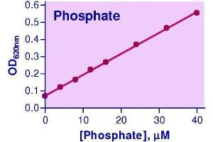 Biochemical Assay (BCA) image for Malachite Green Phosphate Assay Kit (ABIN1000334)