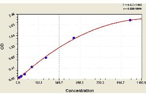 ELISA image for Calcitonin-Related Polypeptide alpha (CALCA) ELISA Kit (ABIN1113889) (CGRP ELISA Kit)