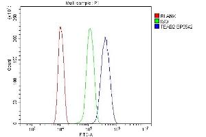 Flow Cytometry analysis of Hela cells using anti- ETF/TEAD2 antibody (ABIN7599879). (TEAD2 Antikörper  (AA 125-398))