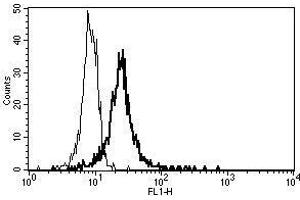 A typical staining pattern with the B-A35 monoclonal antibody of monocytes (Thrombomodulin Antikörper)