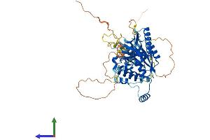 Protein Structure (PS) image for Meiosis 1 Associated Protein (M1AP) (AA 1-530) protein (His tag) (ABIN7549122)