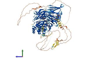 Protein Structure (PS) image for HIR Histone Cell Cycle Regulation Defective Homolog A (HIRA) (AA 1-1015) protein (His tag) (ABIN7563928)