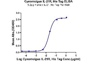 Immobilized Human IL-21 at 2 μg/mL (100 μL/well) on the plate. (IL21 Receptor Protein (AA 41-254) (His tag))