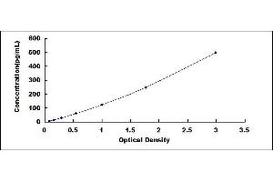 Typical standard curve (FGF7 ELISA Kit)