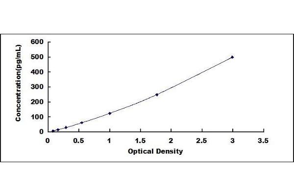 FGF7 ELISA Kit