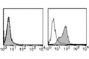 Flow Cytometry (FACS) image for anti-Poliovirus Receptor (PVR) antibody (PE) (ABIN1105910) (Poliovirus Receptor Antikörper  (PE))