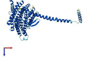 MT-ND5 Protein (AA 1-607) (His tag)
