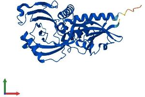 Protein Structure (PS) image for D-Aspartate Oxidase (DDO) (AA 1-341) protein (His tag) (ABIN7560245)