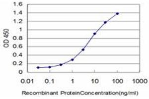 Detection limit for recombinant GST tagged DDX54 is approximately 0. (DDX54 Antikörper  (AA 778-881))
