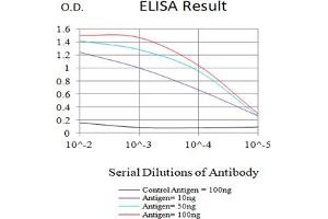 Black line: Control Antigen (100 ng),Purple line: Antigen (10 ng), Blue line: Antigen (50 ng), Red line:Antigen (100 ng) (EPAS1 Antikörper  (AA 680-870))