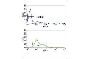 MDH1 Antibody (C-term) (ABIN389447 and ABIN2839517) flow cytometry analysis of HL-60 cells (bottom histogram) compared to a negative control cell (top histogram). (MDH1 Antikörper  (C-Term))