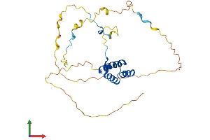 Protein Structure (PS) image for Homeobox C4 (HOXC4) (AA 1-264) protein (His tag) (ABIN7556922)