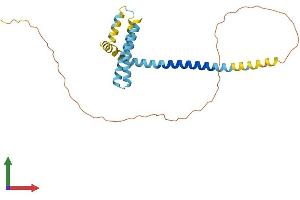 Protein Structure (PS) image for Receptor Accessory Protein 2 (REEP2) (AA 1-254) protein (His tag) (ABIN7559813)