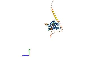 Protein Structure (PS) image for Germ Cell Associated 1 (GSG1) (AA 1-324) protein (His tag) (ABIN7559685)