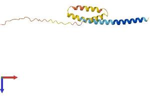 IFITM1 Protein (AA 1-125) (His tag)