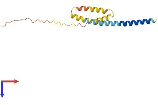 IFITM1 Protein (AA 1-125) (His tag)