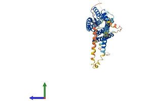 Protein Structure (PS) image for Hypocretin (Orexin) Receptor 2 (HCRTR2) (AA 1-444) protein (His tag) (ABIN7550267)