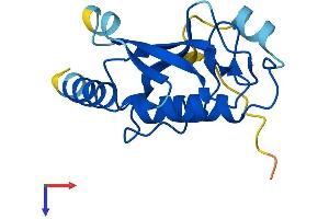UBE2W Protein (AA 1-151) (His tag)