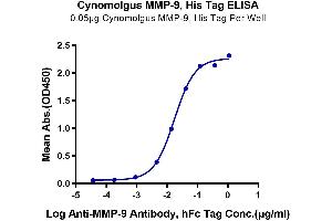 ELISA image for Matrix Metallopeptidase 9 (Gelatinase B, 92kDa Gelatinase, 92kDa Type IV Collagenase) (MMP9) (AA 20-706) protein (His tag) (ABIN7275266)