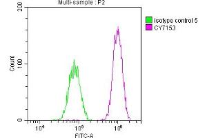 Overlay histogram showing HepG2 cells stained with ABIN7127664 (red line) at 1:50. (Rekombinanter PAK2 Antikörper)