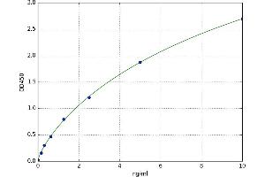 A typical standard curve