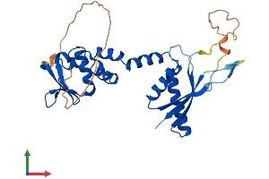 Protein Structure (PS) image for Potassium Channel Tetramerisation Domain Containing 7 (KCTD7) (AA 1-289) protein (His tag) (ABIN7548737)