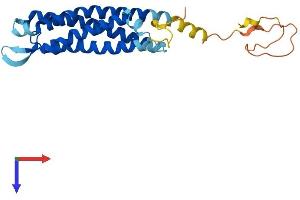 Synaptogyrin 3 Protein (SYNGR3) (AA 1-229) (His tag)