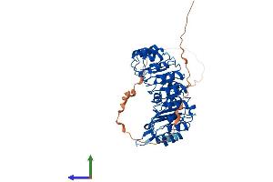 Protein Structure (PS) image for F-Box and Leucine-Rich Repeat Protein 16 (FBXL16) (AA 1-479) protein (His tag) (ABIN7547790)