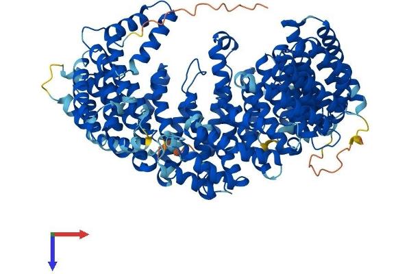 IPO13 Protein (AA 1-963) (His tag)