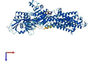 ATP1A3 Protein (AA 1-1013) (His tag)