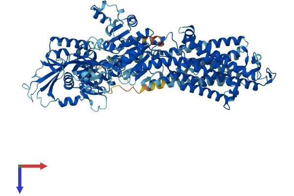 ATP1A3 Protein (AA 1-1013) (His tag)