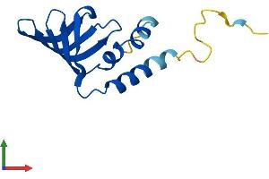 Protein Structure (PS) image for LSM10, U7 Small Nuclear RNA Associated (LSM10) (AA 1-123) protein (His tag) (ABIN7549238)