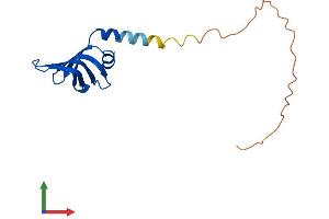 Protein Structure (PS) image for LSM4 Homolog, U6 Small Nuclear RNA Associated (LSM4) (AA 1-139) protein (His tag) (ABIN7549239)