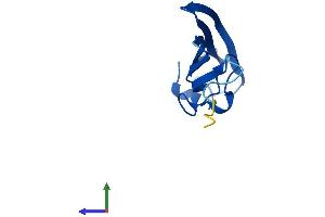 Protein Structure (PS) image for Churchill Domain Containing 1 (CHURC1) (AA 1-112) protein (His tag) (ABIN7557907)