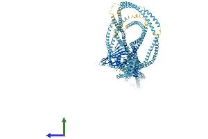 Protein Structure (PS) image for RAD50 Homolog (S. Cerevisiae) (RAD50) (AA 1-1312) protein (His tag) (ABIN7563526)