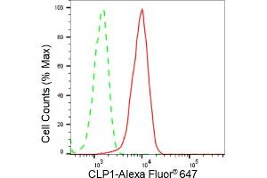 Flow cytometric analysis of CLP1 expression in HeLa cells using CLP1 antibody (ABIN7798094), 1:2,000). (Rekombinanter CLP1 Antikörper)