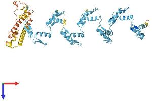 AlphaFold protein structure predicition of Human Recombinant ZNF404 Protein, UniprotID Q494X3