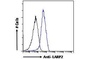 ABIN190867 Flow cytometric analysis of paraformaldehyde fixed HepG2 cells (blue line), permeabilized with 0. (LARP1B Antikörper  (Internal Region))