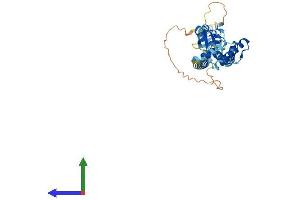 Protein Structure (PS) image for Ring Finger Protein 32 (RNF32) (AA 1-362) protein (His tag) (ABIN7551473)