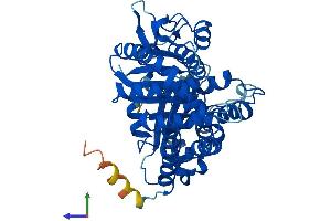 Protein Structure (PS) image for Tubulin, beta 6 (TUBb6) (AA 1-447) protein (His tag) (ABIN7560218)