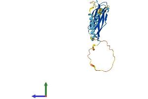 Protein Structure (PS) image for Motile Sperm Domain Containing 3 (MOSPD3) (AA 1-235) protein (His tag) (ABIN7549559)